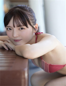 菜园里的战争与和平