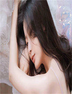 电视剧夜隼